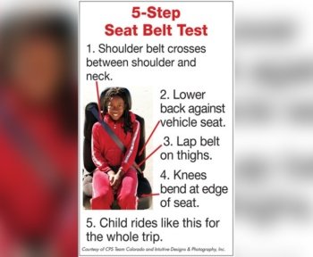 What is the 5 Step Seat Belt Fit Test
